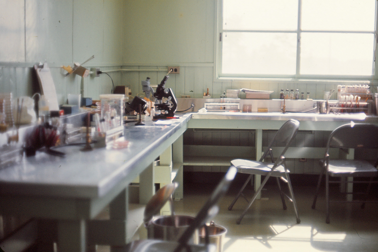 Bacteriology