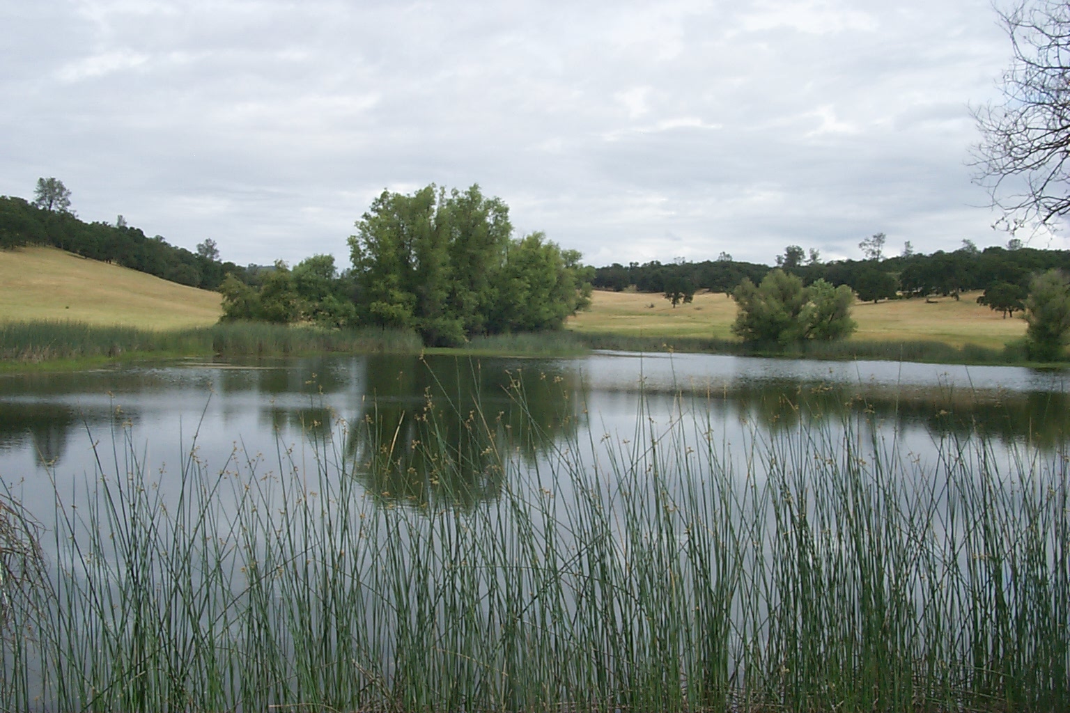 Spenceville