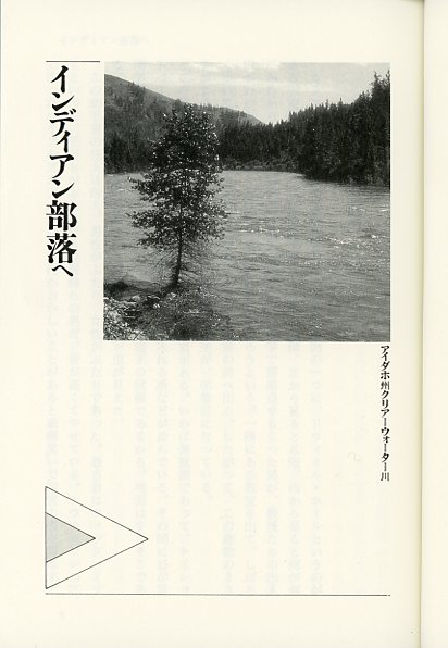 Aoki 1998