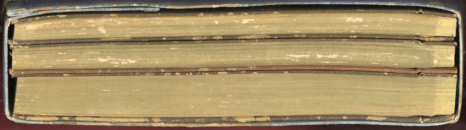 1920 census commemoration