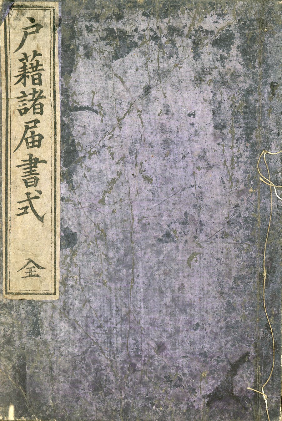 Noguchi 1893